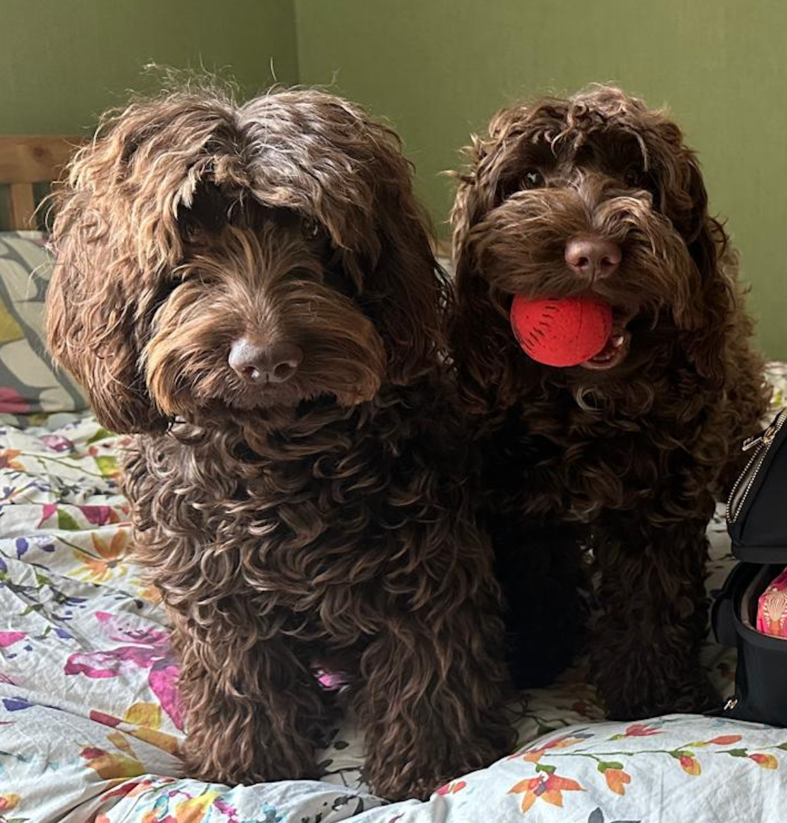 Erda & Mia